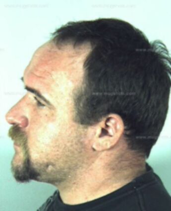 Leslie Ellis Thornton