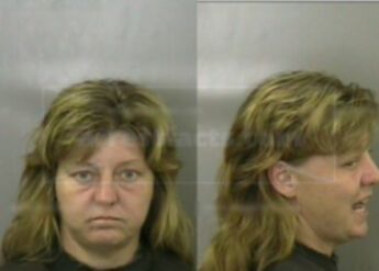 Christine E. Davis