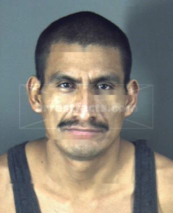 Estuardo Diaz-Morales