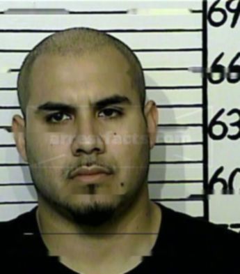 Albert Villarreal Dominguez