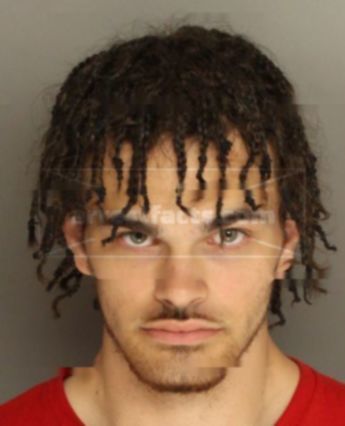 Shane William Newman