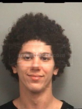 Alexander P Fearon