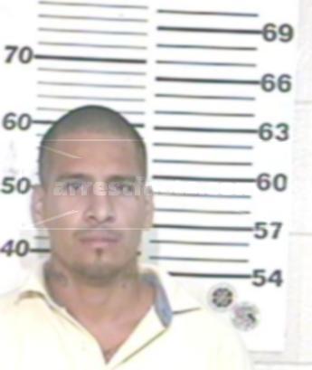 Salvador Garcia Fraire