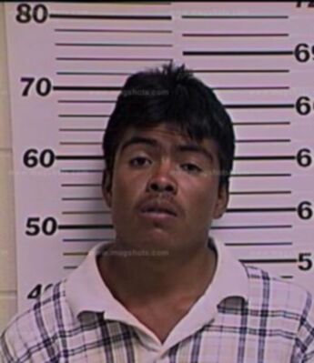 Pablo Araujo Yepez