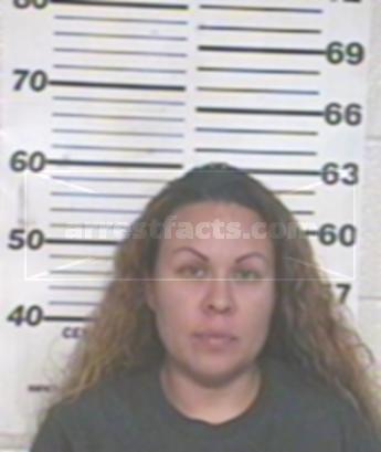 Cynthia Ann Gonzalez Casarez