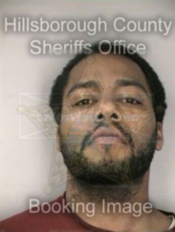 Darnell R Johnson