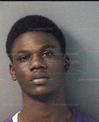 Andre D Williams