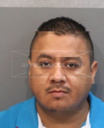 Jose N Garcia-Gallegos