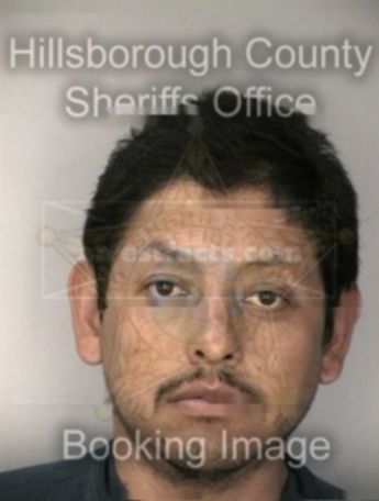 Enrique M Hernandez