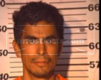 Alfredo Reyna Villalpando