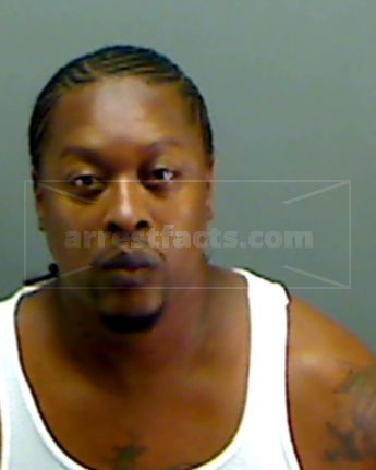 Michael Ansario Newhouse