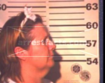 Sindy Lee Johnson