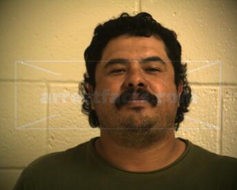 Esquivel Cesar Olguin