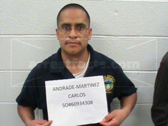 Carlos Andrade-Martinez