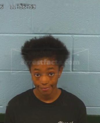 Clara Ann Webb