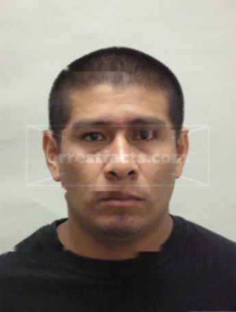 Jose L Flores Aca