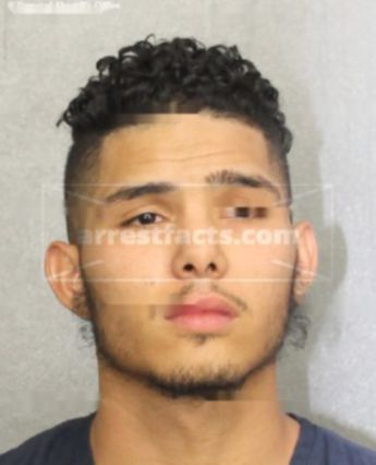 John A Brion Rodriguez
