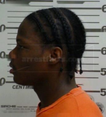 Jamell L Ellis