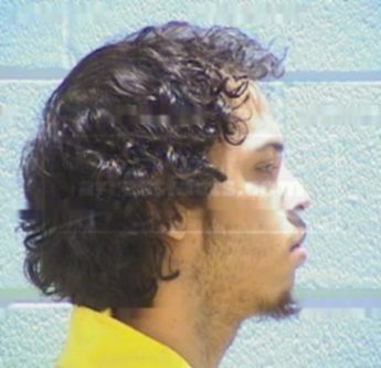 Tyler N. Merriman