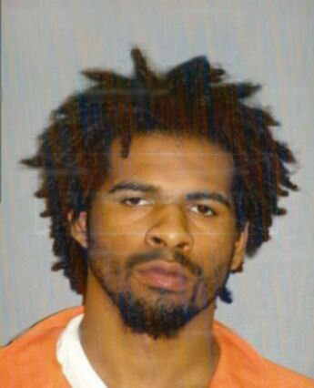 Dana Leseann Turner