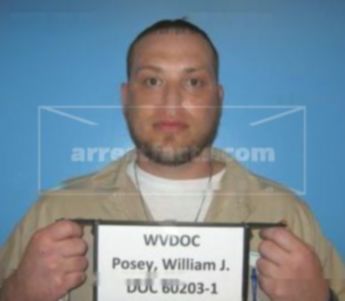 William Joseph Posey