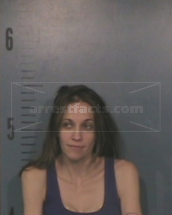 Lesley Ann Leamy