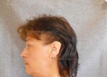 Tammy M Oestreich
