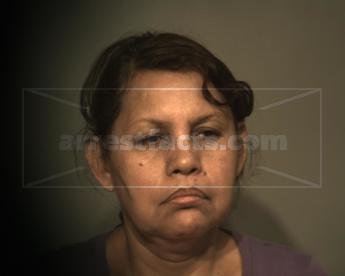 Elva Ochoa Huereca