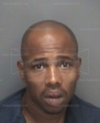 Michael A Hamilton
