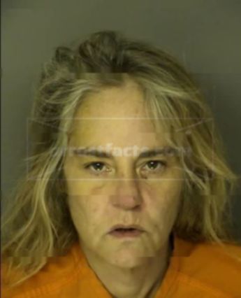 Wendi Lynn Bay