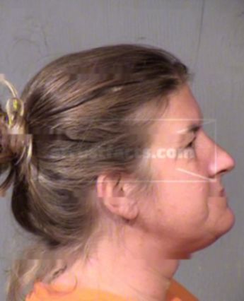 Sheri Lynn Aldrich