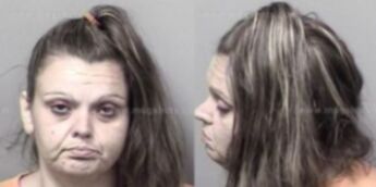 Vicki Mae Howington