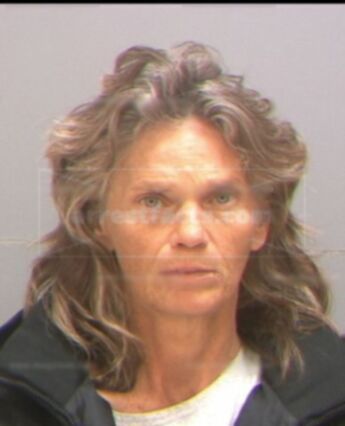 Judy Gale Linn