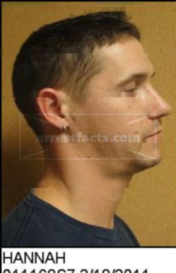David Scott Hannah Ii