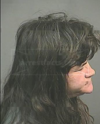 Robin Ann Demster