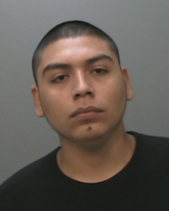 Francisco Nicholas Flores