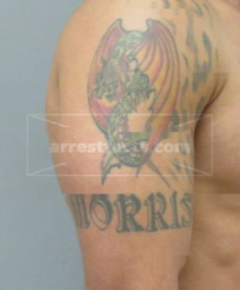Anthony E Morris