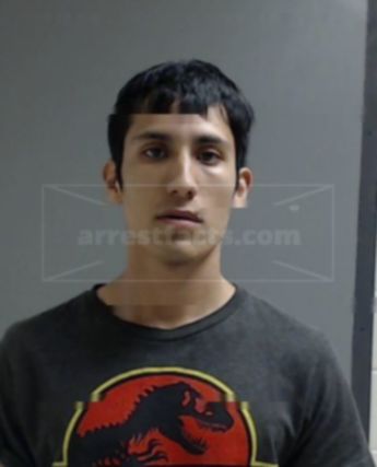 Michael Ray Flores