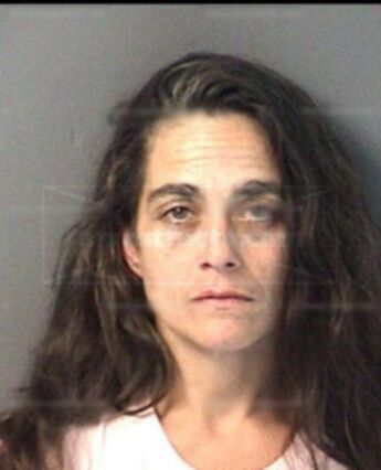 Maylene Ann Cook