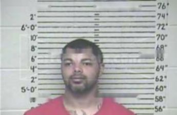 William Henry Johnson
