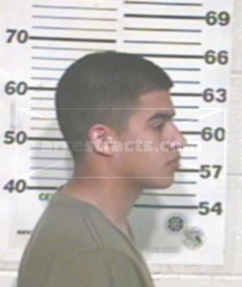 Marco Antonio Brown Villarreal
