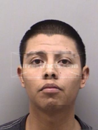 Yibran Campos Alvarado
