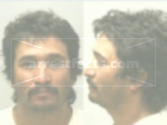 Mario Soto Flores