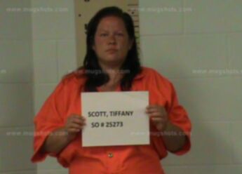 Tiffany Ann Scott