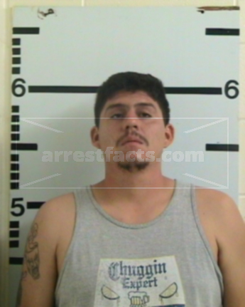 Pedro Flores Espinoza