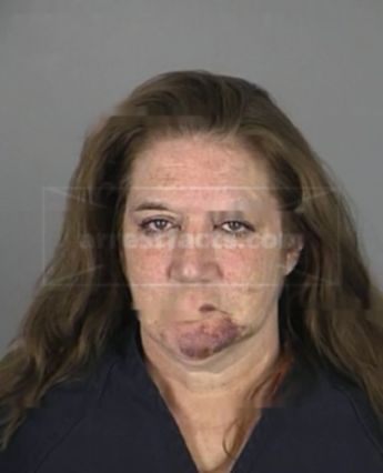 Sally Ann Schilling