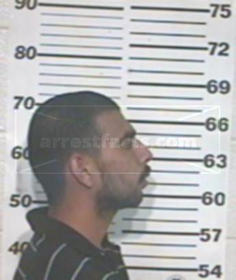 David Pintor Flores