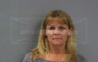 Robin Michelle High