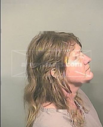 Jamie Irene Lane Holt