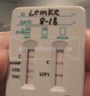 Michael Lee Lemke